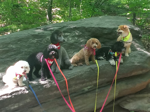 Park «The Loch», reviews and photos, Central Park West, New York, NY 10026, USA