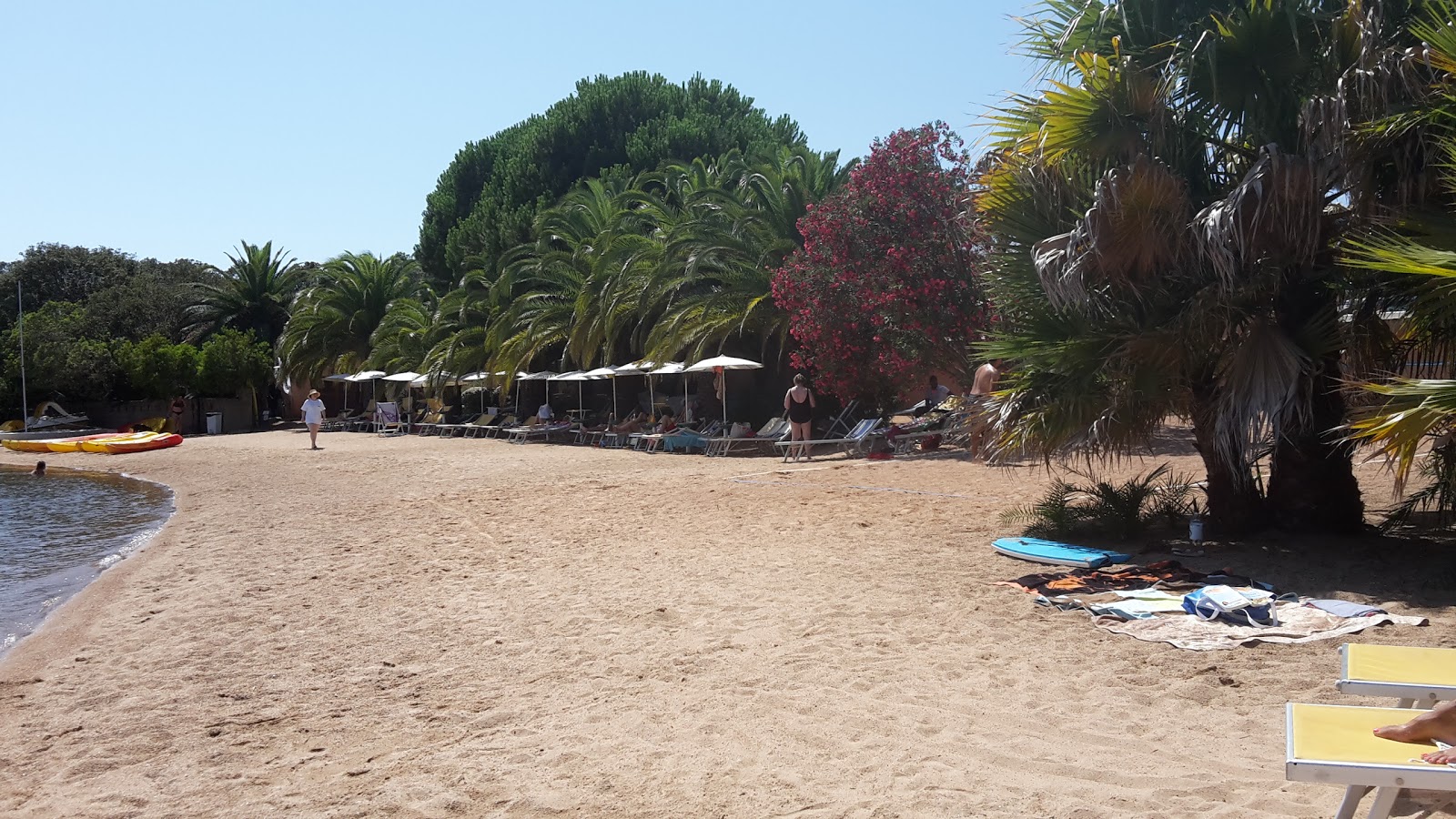Port de Figari photo #7