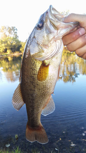 Nature Preserve «Greenbelt Forest Preserve», reviews and photos, 1110 S Green Bay Rd, North Chicago, IL 60035, USA