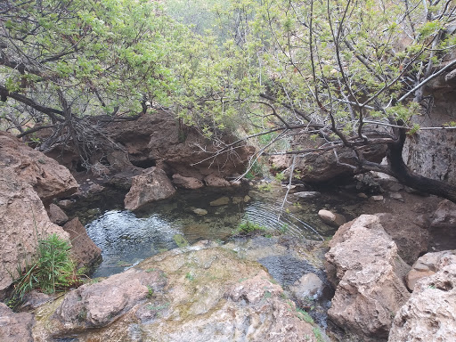 Tourist Attraction «Madame Tussauds Las Vegas», reviews and photos, 3377 S Las Vegas Blvd #2001, Las Vegas, NV 89109, USA