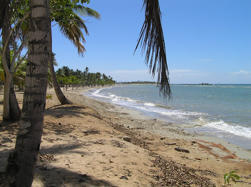 Palafito Playa Nueva Romana