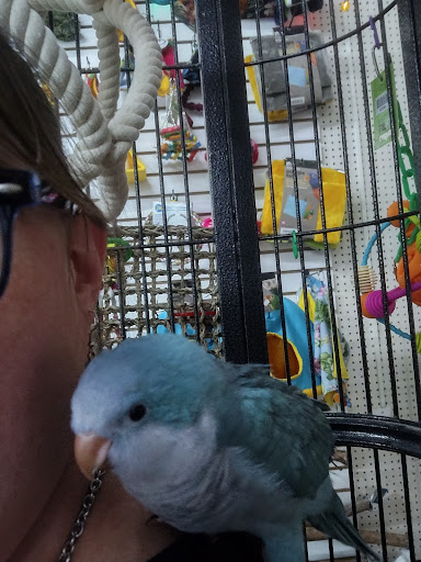 Pet Store «Pet Paradise», reviews and photos, 307 Kellam Rd, Virginia Beach, VA 23462, USA