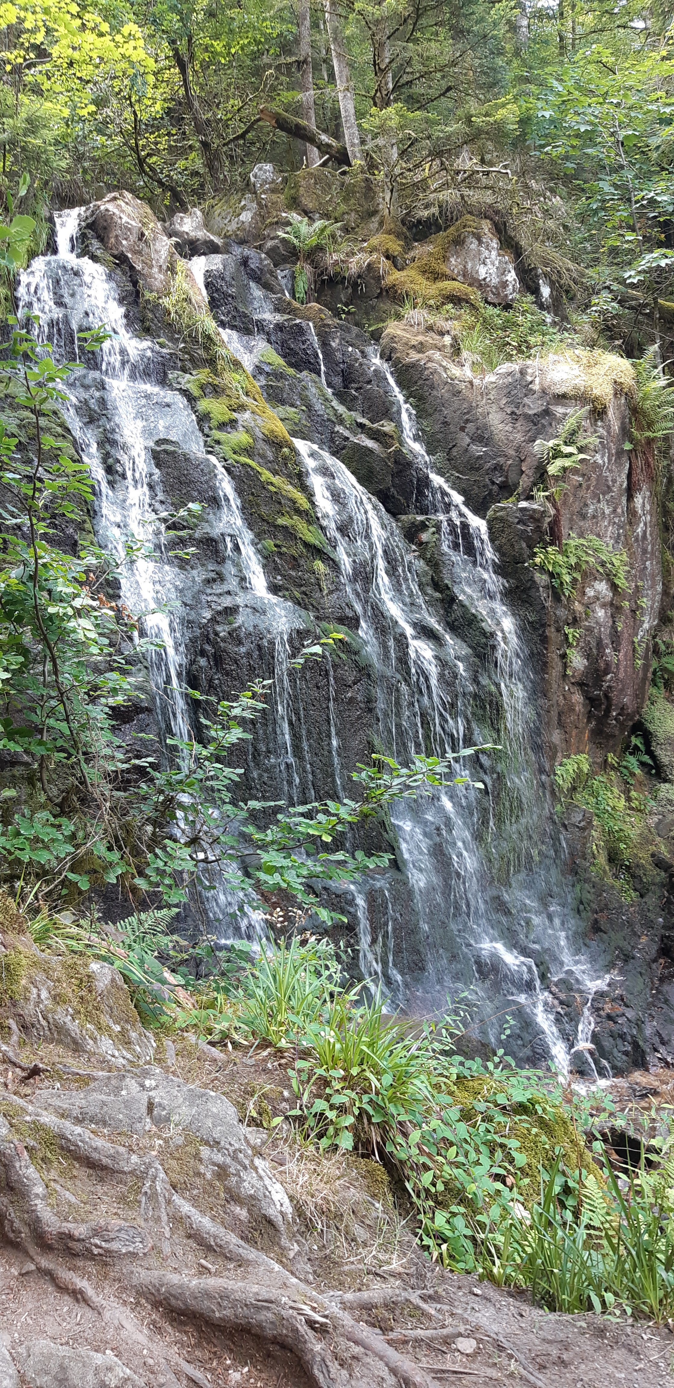 Photo n° 12 de l'avis de Anthony. fait le 03/08/2019 à 16:00