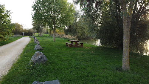 Etang Saint-Martin à Saint-Martin-la-Pallu