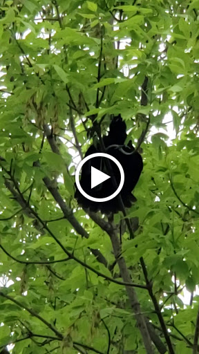 Nature Preserve «Thaddeus S. 