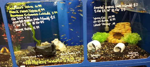 Tropical Fish Store «Saltwater Paradise», reviews and photos, 1313 W Airport Fwy, Irving, TX 75062, USA