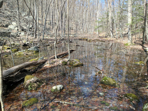 Hiking Area «The Pratt Center», reviews and photos, 163 Paper Mill Rd, New Milford, CT 06776, USA