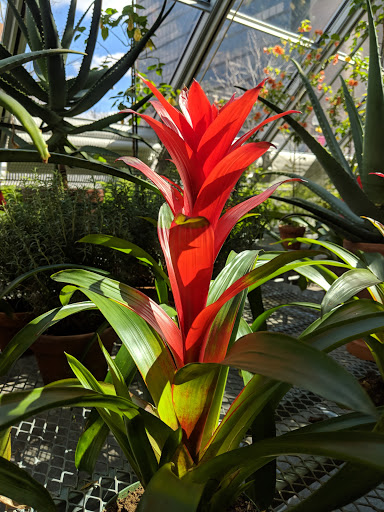 Art Museum «Isabella Stewart Gardner Museum», reviews and photos, 25 Evans Way, Boston, MA 02115, USA