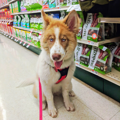 Pet Supply Store «Pet Supplies Plus», reviews and photos, 18610 W Bluemound Rd, Brookfield, WI 53045, USA