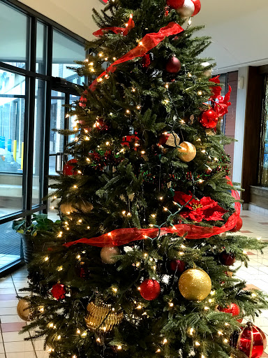 Shopping Mall «Harvard Row Mall», reviews and photos, 21762 W Eleven Mile Rd, Southfield, MI 48076, USA