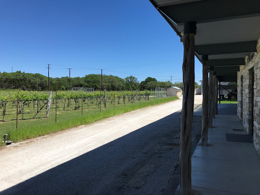 Vineyard «Dry Comal Creek Winery & Vineyards», reviews and photos, 1741 Herbelin Rd, New Braunfels, TX 78132, USA
