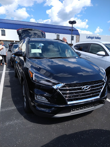 Car Dealer «Vinart Dealerships», reviews and photos, 675 State Ave, Emmaus, PA 18049, USA