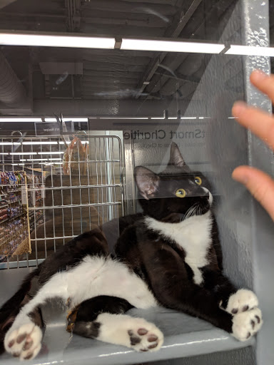 Pet Store «PetSmart», reviews and photos, 2891 Ygnacio Valley Rd, Walnut Creek, CA 94598, USA