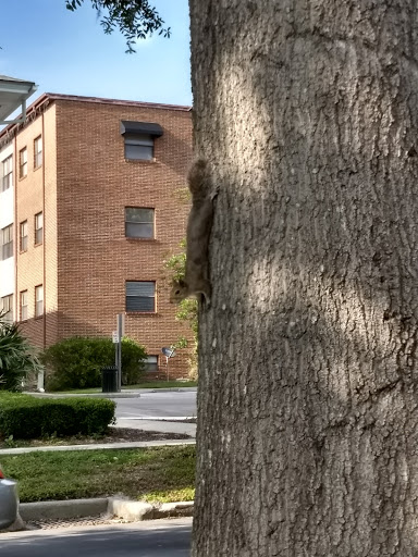 Pet Supply Store «Hobscot Pet Supply», reviews and photos, 328 E 5th Ave, Mt Dora, FL 32757, USA