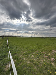 Reitstall-Bühler Schlittweg 42, 68239 Mannheim