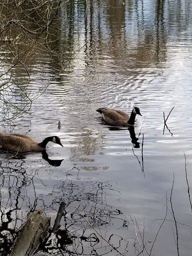 Park «West Hylebos Wetlands Park», reviews and photos, 411 S 348th St, Federal Way, WA 98003, USA