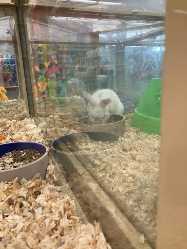 Pet Supply Store «Pet Supermarket», reviews and photos, 3821 S Cobb Dr, Smyrna, GA 30080, USA