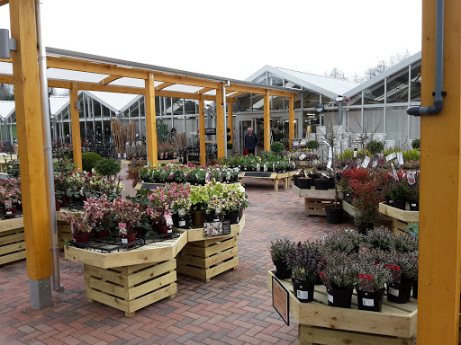 Almondsbury Garden Centre