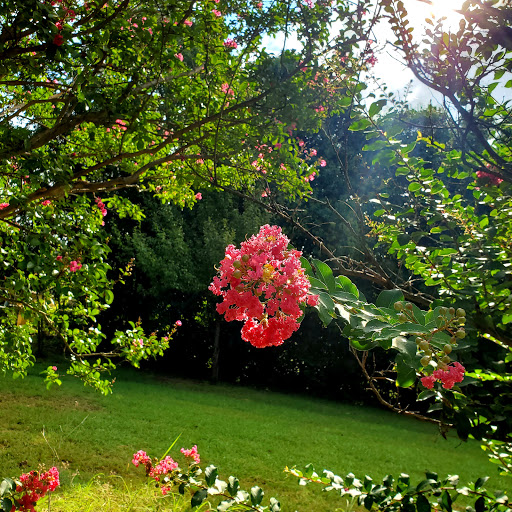 Park «Lions Park», reviews and photos, 1099 S Peach St, Duncanville, TX 75137, USA