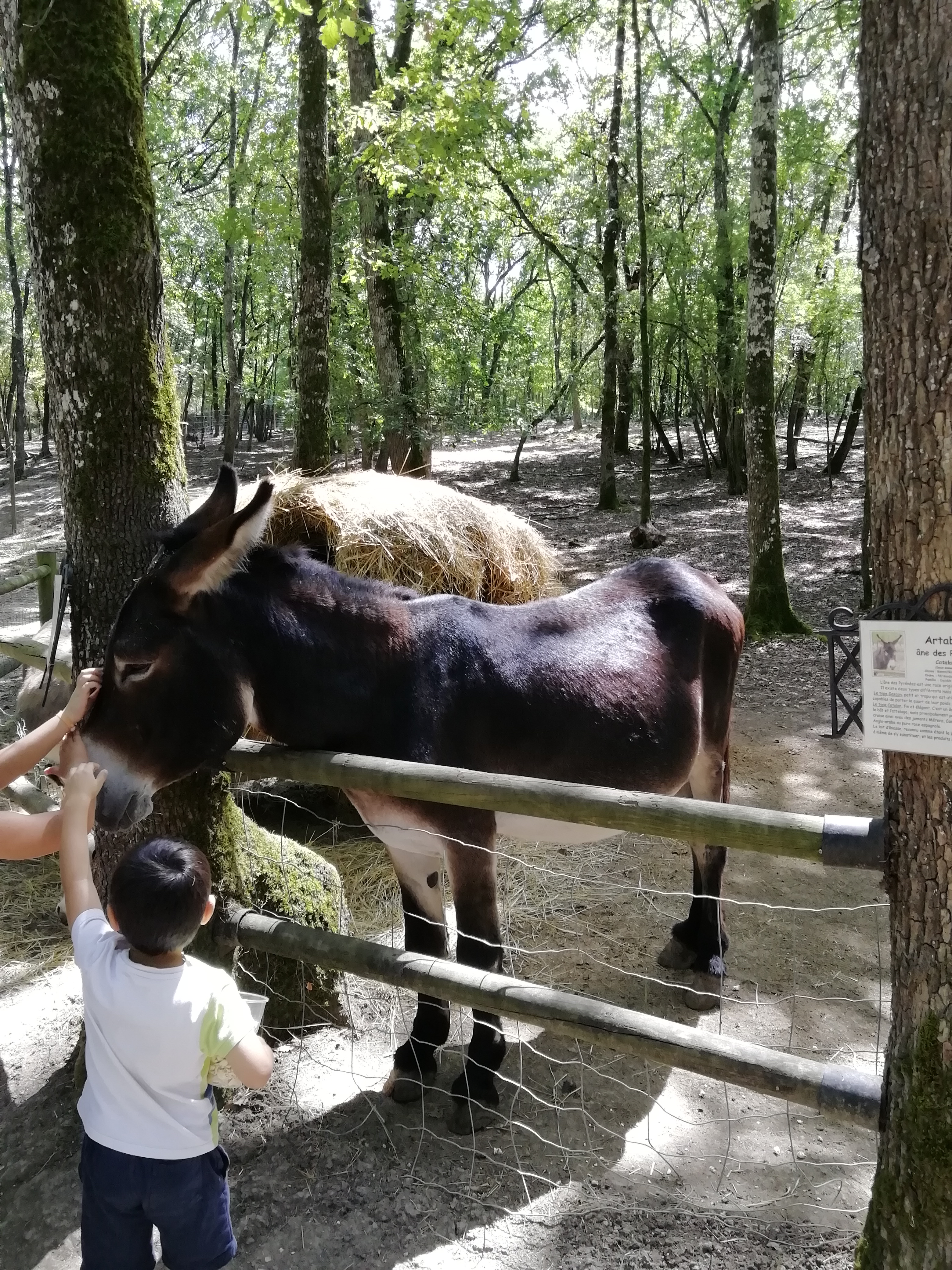 Photo n° 2 de l'avis de Franck.a fait le 23/06/2019 à 15:03