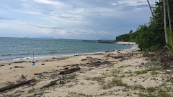 Pandan Beach II'in fotoğrafı geniş ile birlikte