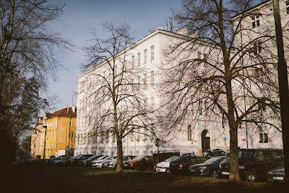 Ambis - Vysoká škola