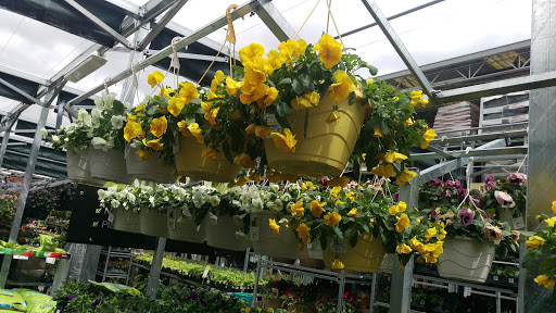 Home Improvement Store «The Home Depot», reviews and photos, 3355 Cobb Pkwy N, Acworth, GA 30101, USA