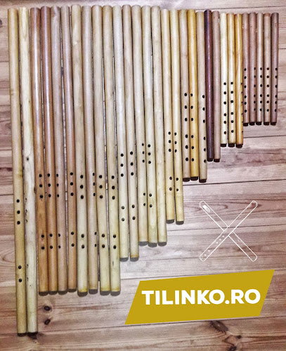 WWW.TILINKO.RO - Magazin de muzică