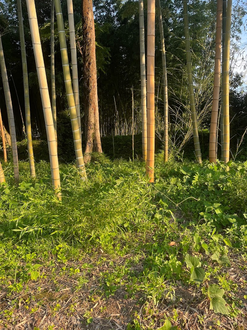 野口館跡