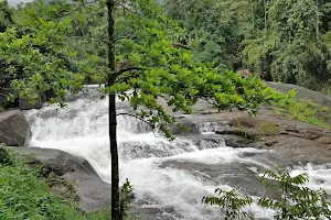 Anakkallumpara Water Falls image