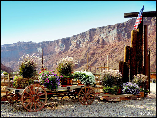 Winery «Moab Castle Creek Winery», reviews and photos, 14 UT-128, Moab, UT 84532, USA