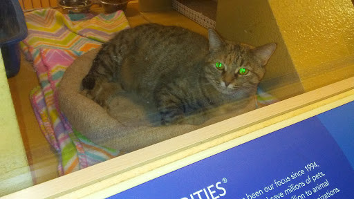 Pet Supply Store «PetSmart», reviews and photos, 443 N Rolling Meadows Dr, Fond du Lac, WI 54937, USA