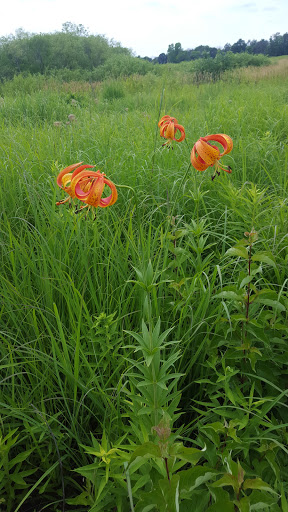 Nature Preserve «Crabtree Nature Center», reviews and photos, 3 Stover Rd, Barrington, IL 60010, USA
