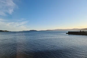 Petone Beach Dog Exercise Zone image