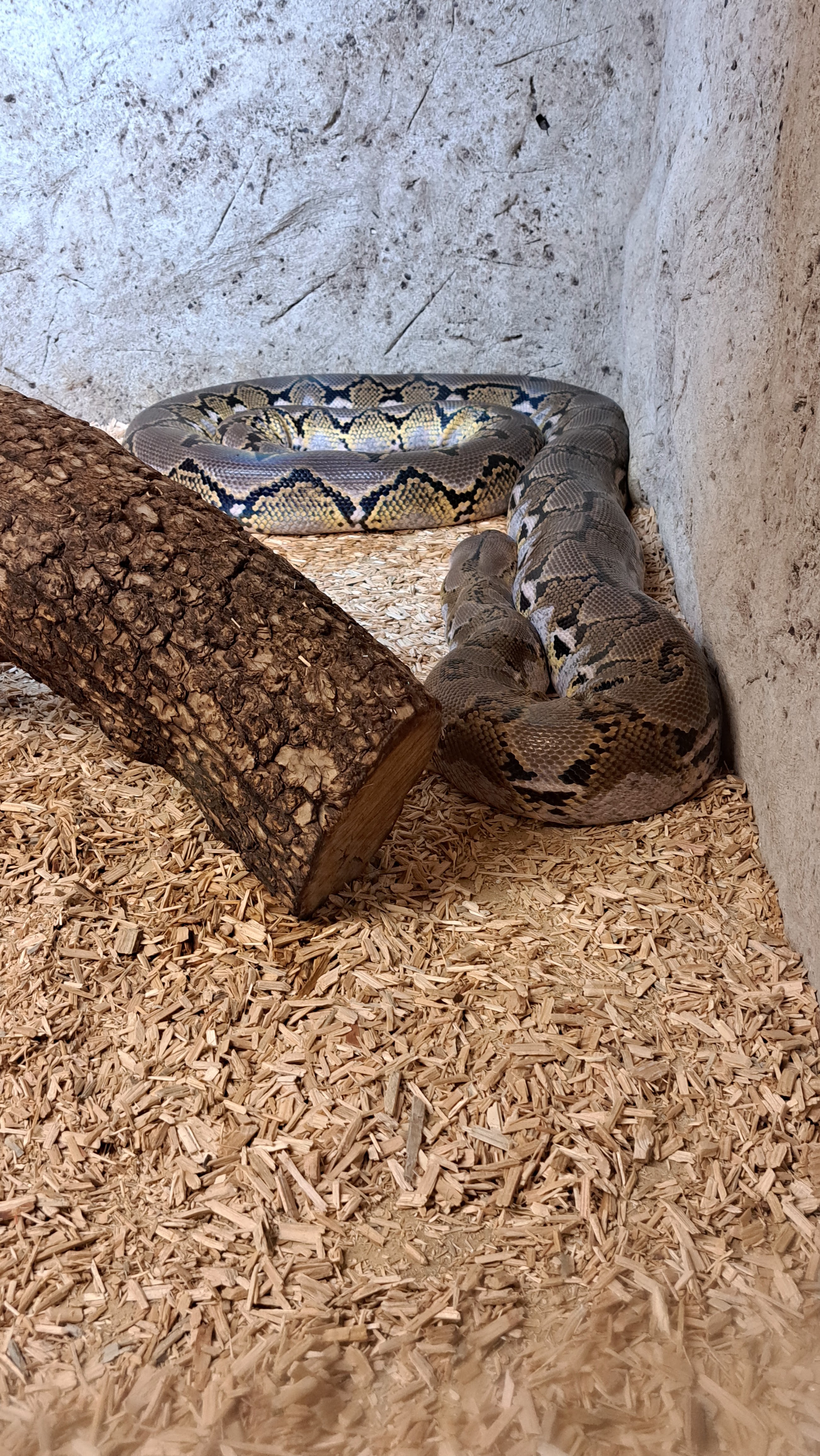 Photo n° 4 de l'avis de gijsbert. fait le 15/08/2023 à 14:08