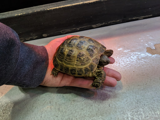 Pet Store «Parker Exotic Pets», reviews and photos, 17880 Cottonwood Dr, Parker, CO 80134, USA