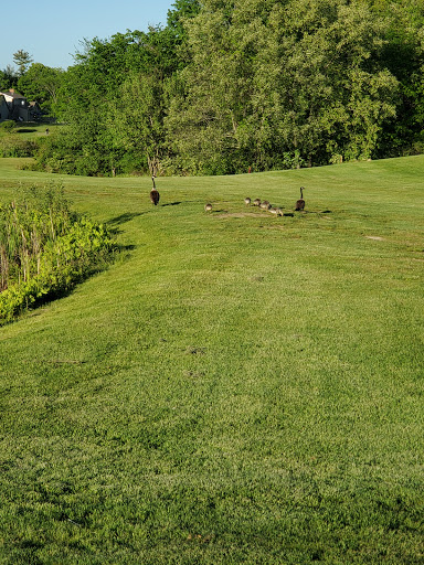 Golf Course «Deep Brook Golf Course», reviews and photos, 36 New County Rd, Saco, ME 04072, USA