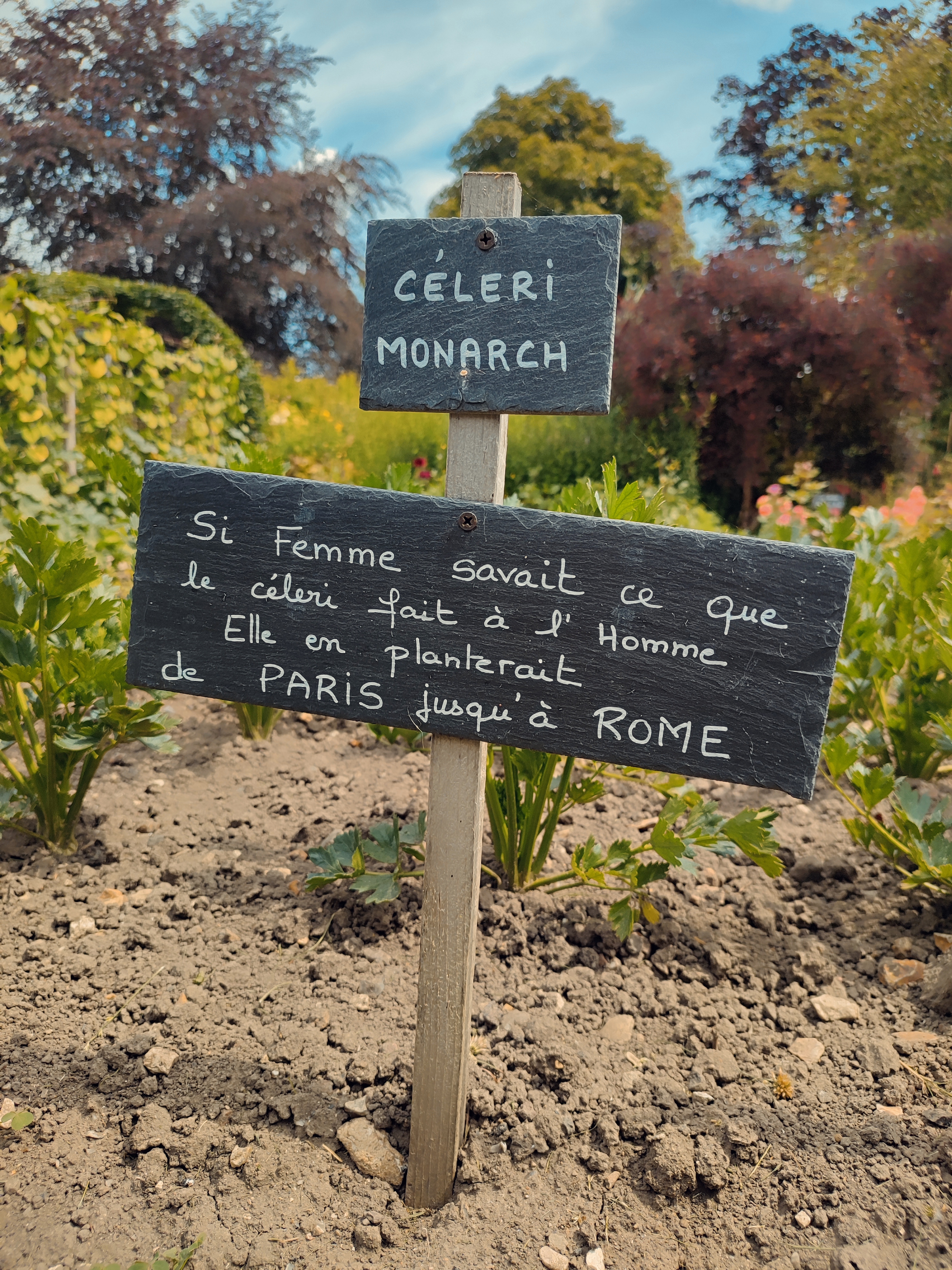 Photo n° 10 de l'avis de Laure.a fait le 20/07/2023 à 16:30
