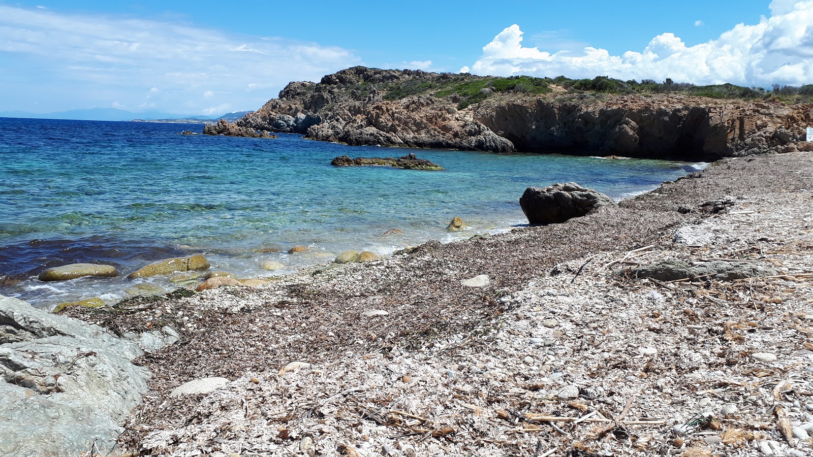Photo de Oscelluccia beach avec petite baie