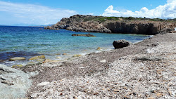 Photo de Oscelluccia beach avec un niveau de propreté de très propre