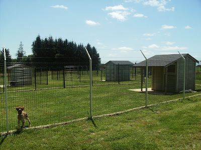 Residence Animaliere Des Peupliers à Saint-Gérand-Croixanvec
