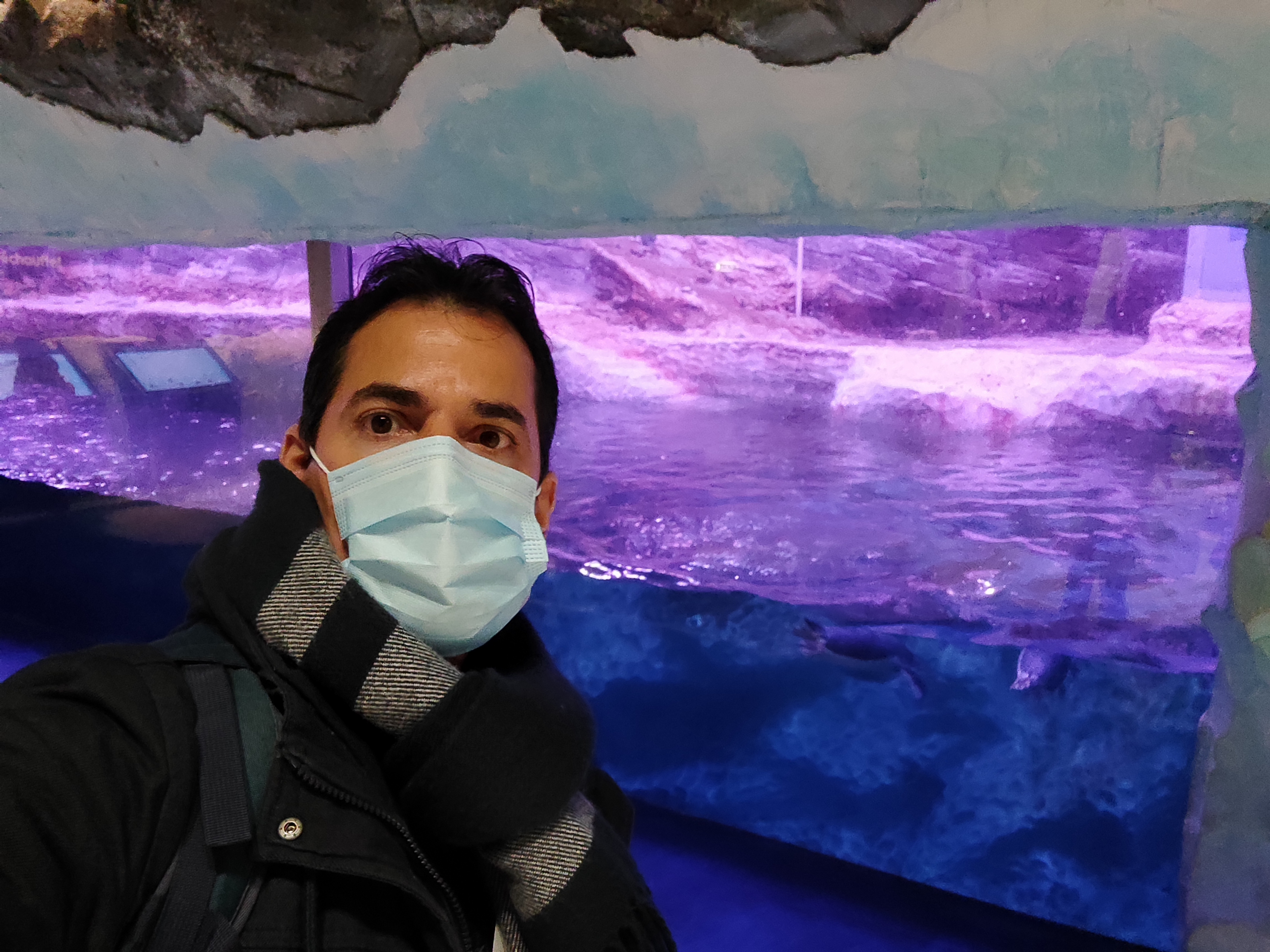Photo n° 1 de l'avis de Ariel.a fait le 20/12/2021 à 13:50