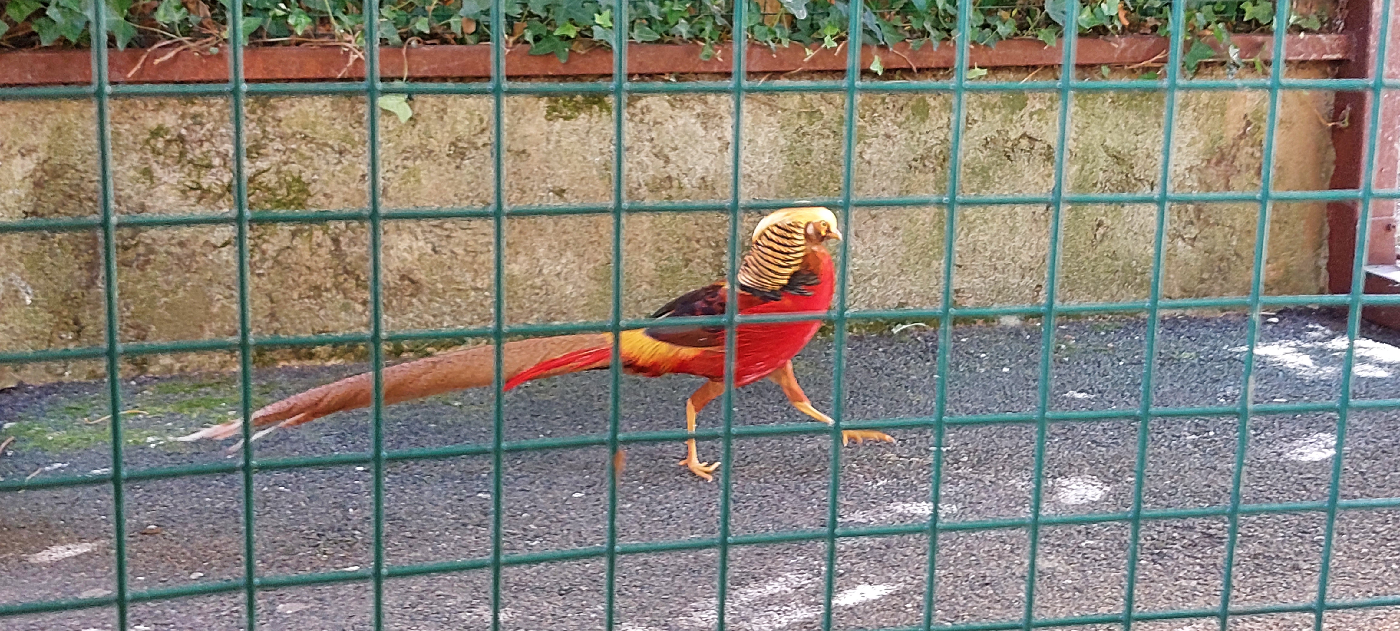 Photo n° 4 de l'avis de nathalie.E fait le 08/10/2023 à 08:49