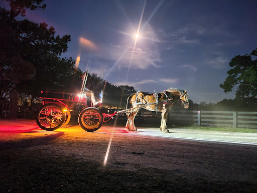 Stable «Lawton Stables», reviews and photos, 190 Greenwood Dr, Hilton Head Island, SC 29928, USA