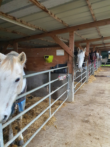 Houssais Horses Sarl à Betton