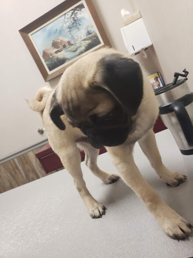 3007 Mountain Rd, Pasadena, MD 21122, USA