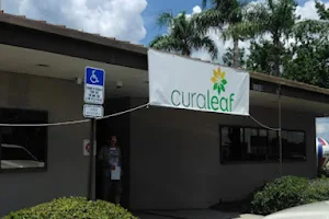 Curaleaf Dispensary Palm Harbor image