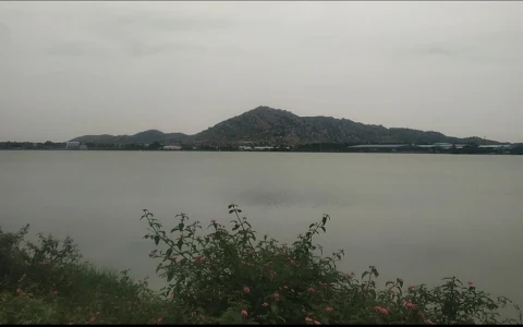 Narsapur Lake image