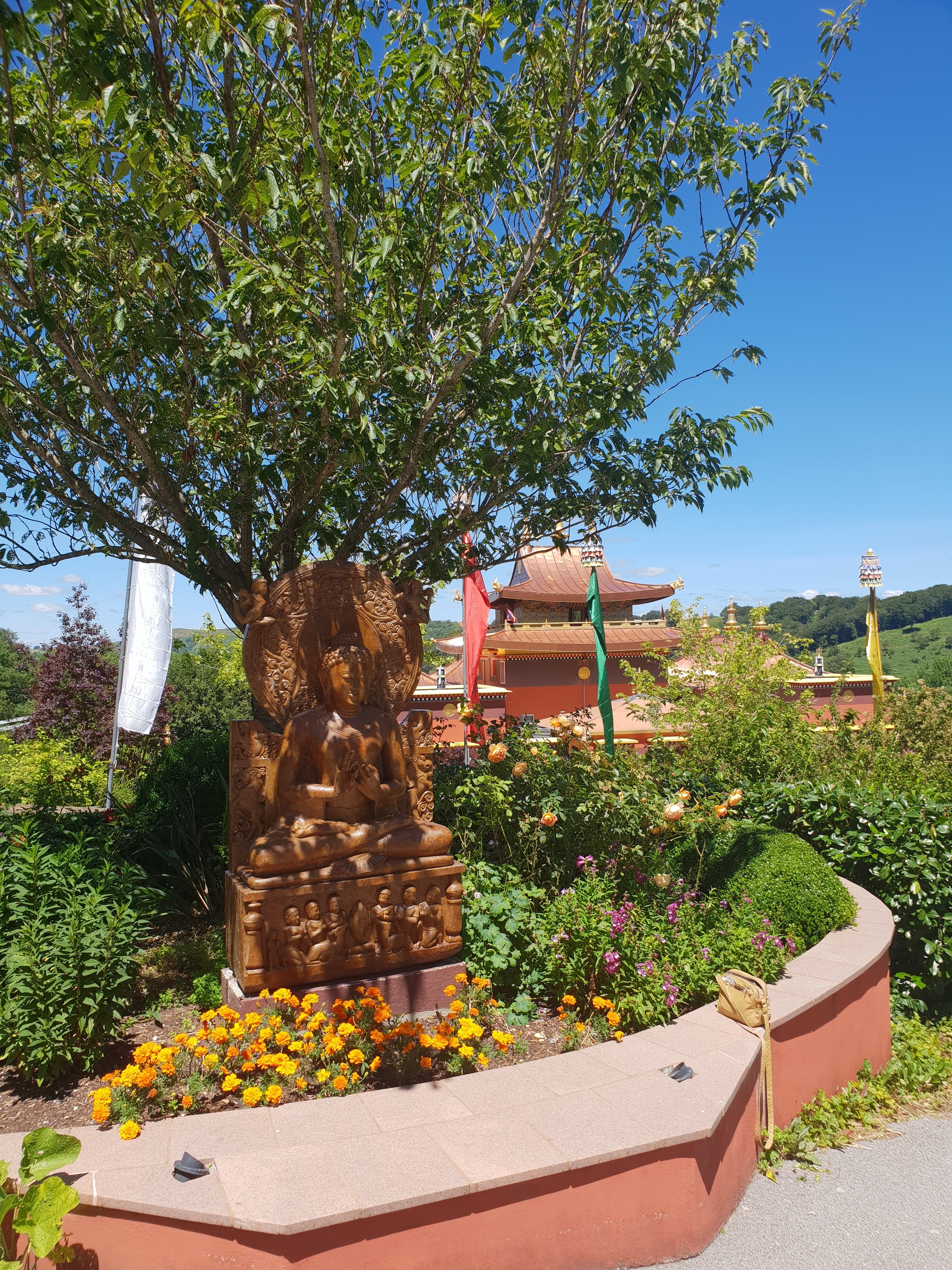 Photo n° 16 de l'avis de claire.I fait le 06/07/2020 à 04:50