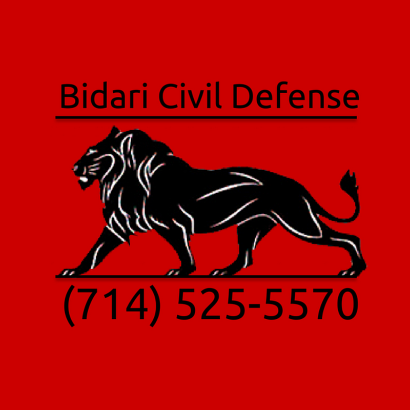 BIDARI CIVIL DEFENSE